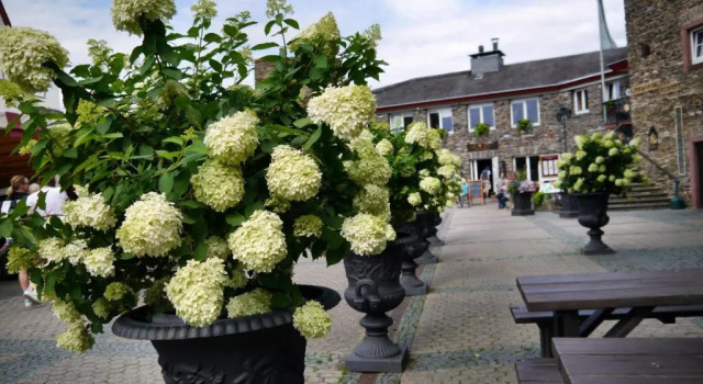 Апартаменты Rhein - Mosel Quartier 4