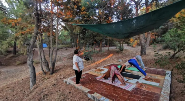 Двухместный номер Standard с балконом и с видом на море Drolma Ling Nature Cabins