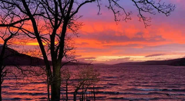 Коттедж Rannoch Highland Club Pine Marten Lodge 05