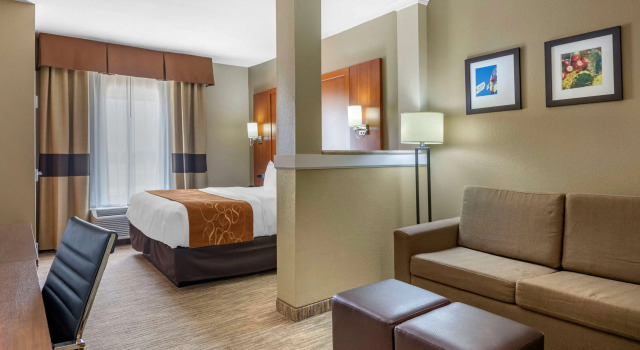Двухместный люкс Comfort Suites - University