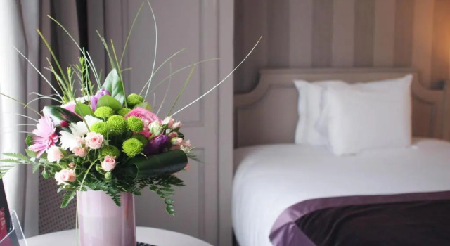 Одноместный номер Standard Hôtel Concordia Le Mans Centre Gare