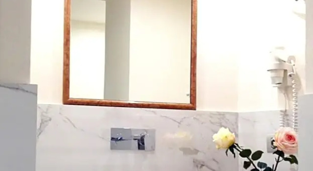 Номер Superior Hotel Palagi