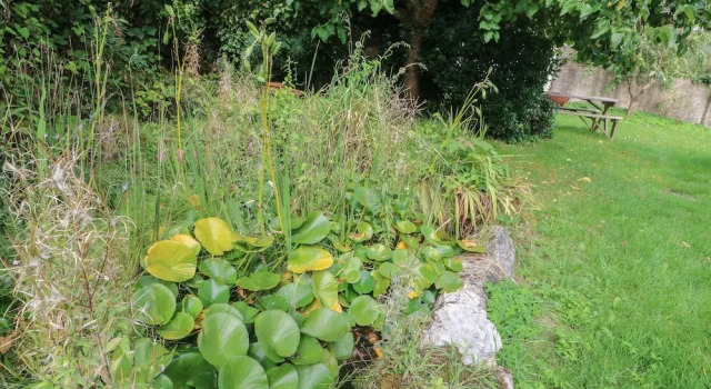 Hytte Mulberry Cottage