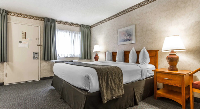 Номер Standard Quality Inn & Suites Silicon Valley