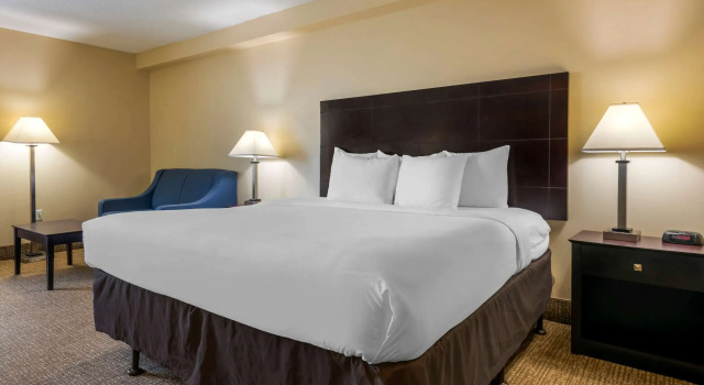 Двухместный номер Standard Comfort Inn International Dr.