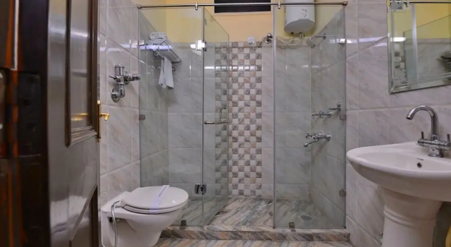 Двухместный номер Deluxe Hotel Dolphin