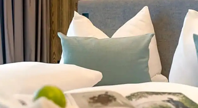 Номер Deluxe Hotel Der Waldhof