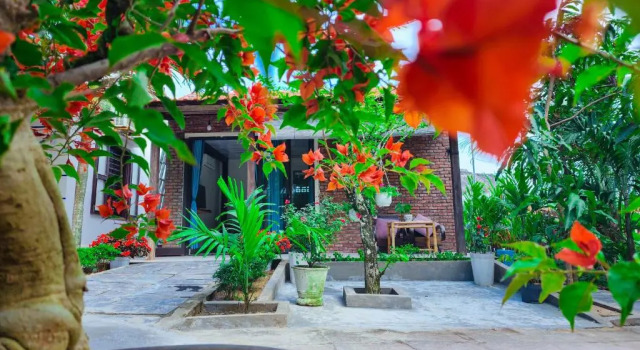 Полулюкс Dragon Sea Homestay