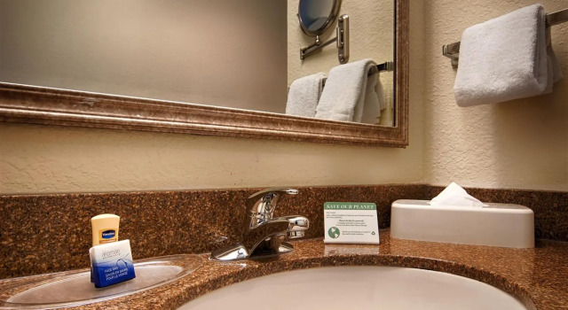 Двухместный полулюкс Best Western Plus Newport News
