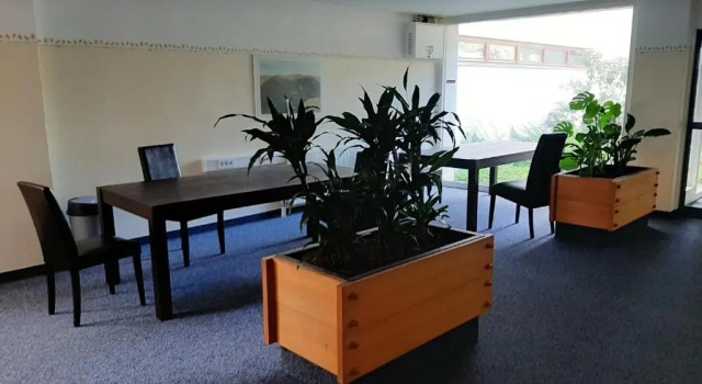 Апартаменты c 1 комнатой Apartment Anja