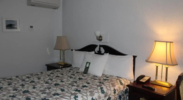 Standardowy jednoosobowy pokój Complexe Hotelier Pelchat