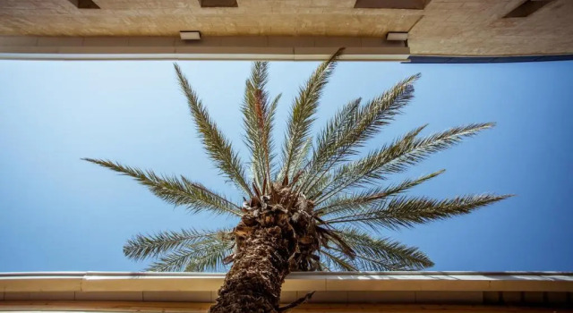 The Negev Hotel By Domus, Reserva ahora Hotel Hoteles de negocios en Distrito Meridional, 4* 5*