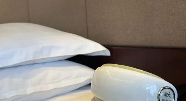 Номер Standard Four Points By Sheraton Danzhou