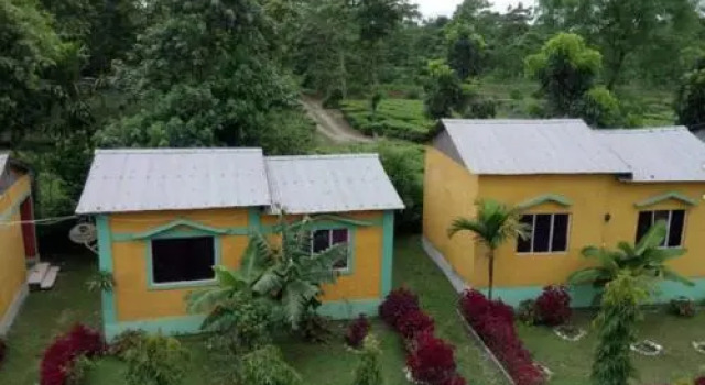 Mystic resort amidst Tea Garden