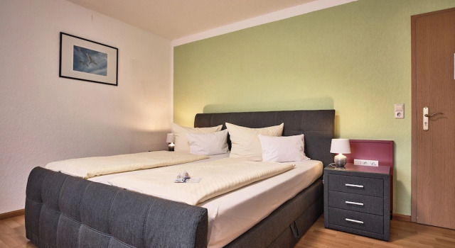Двухместный номер Classic с балконом TIPTOP Hotel am Hochrhein