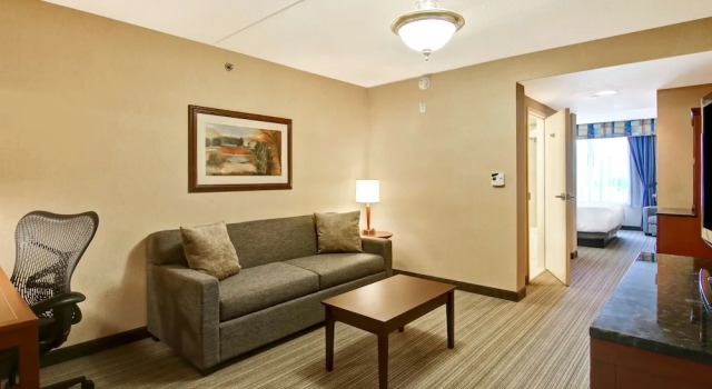 Люкс Hilton Garden Inn Toronto/Burlington