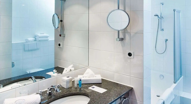 Двухместный номер Standard Dorint Herrenkrug Parkhotel Magdeburg