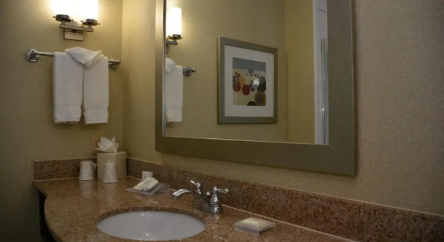 Номер Standard Hilton Garden Inn South Padre Island Beachfront