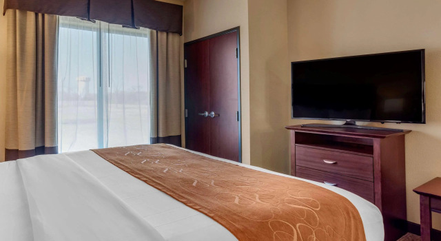 Comfort Suites Airport South, Prenota Hotel Hotel a Alabama con piscina, Piscina