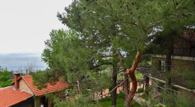 Номер Comfort Faralia Hotel