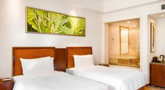 Номер Superior Wuzhishan Yatai Rainforest Resort Hotel