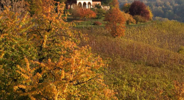 Вилла Villa San Domenico a Barbaresco