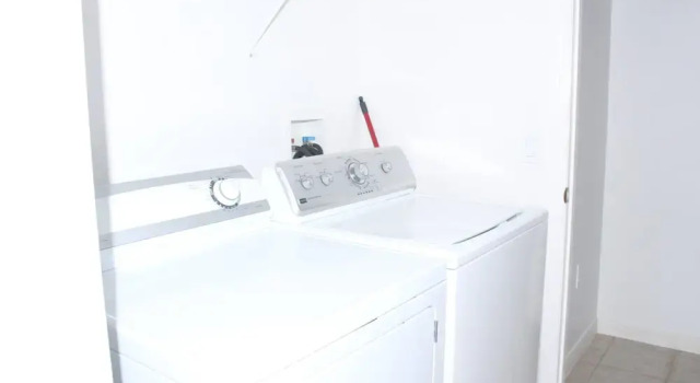 Tr306or