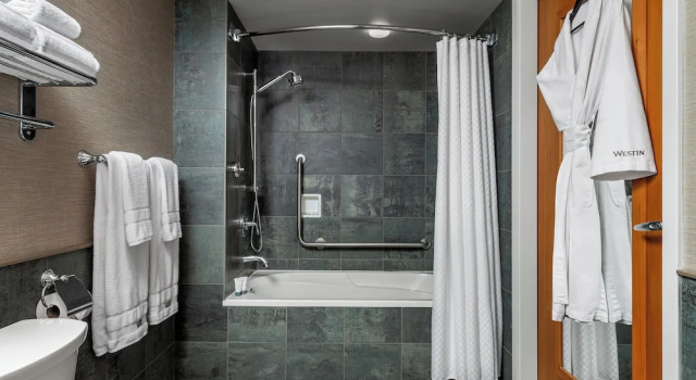 Двухместный номер Standard Пентхаус с видом на горы The Westin Resort & Spa, Whistler