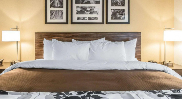 Двухместный номер Standard Sleep Inn & Suites Jasper I-22