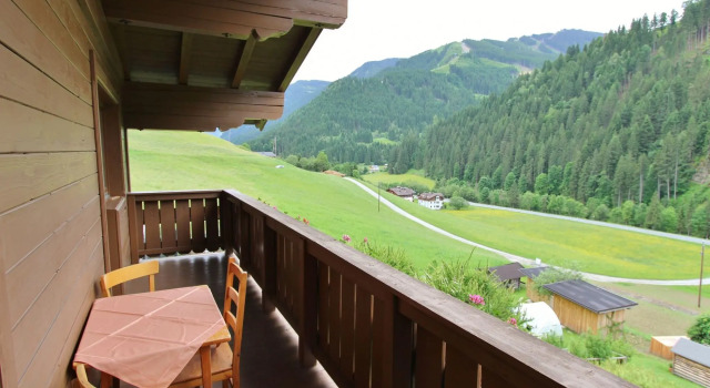 Apartment in Viehhofen Near Ski Lifts