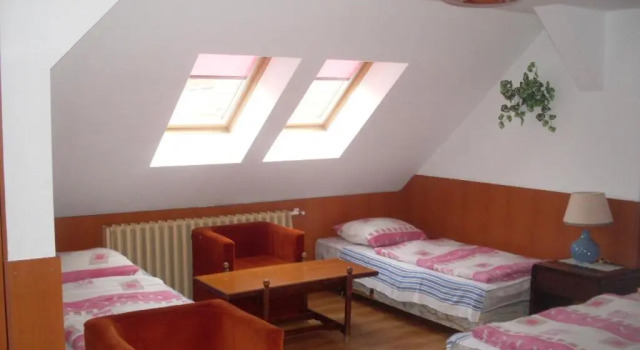 Четырёхместный номер Standard Мансарда Botax Motel