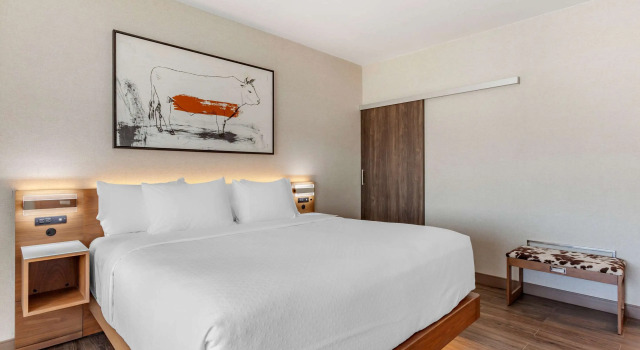 Cambria Hotel Richardson - Dallas
