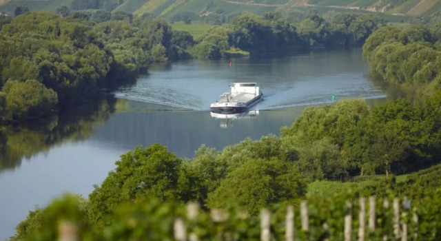 Апартаменты Holiday Home Moselle Valley