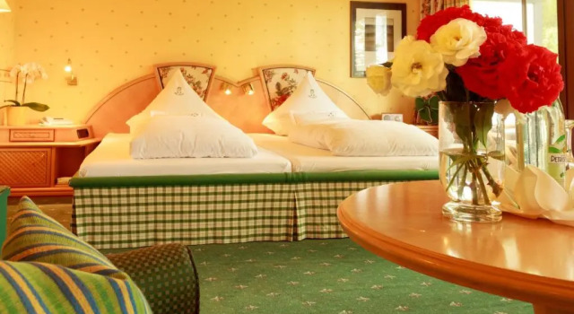 Полулюкс Garden Hotel Reinhart