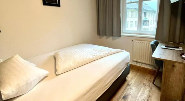 Одноместный номер Superior Hotel Goldener Löwe