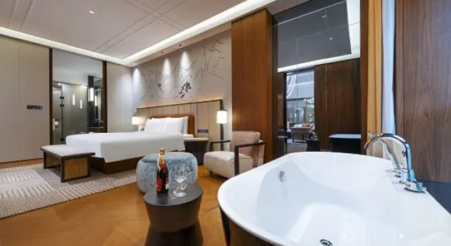 Люкс Executive UrCove by Hyatt Altay