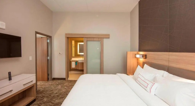 Номер Standard Springhill Suites By Marriott Athens Downtown/University Area
