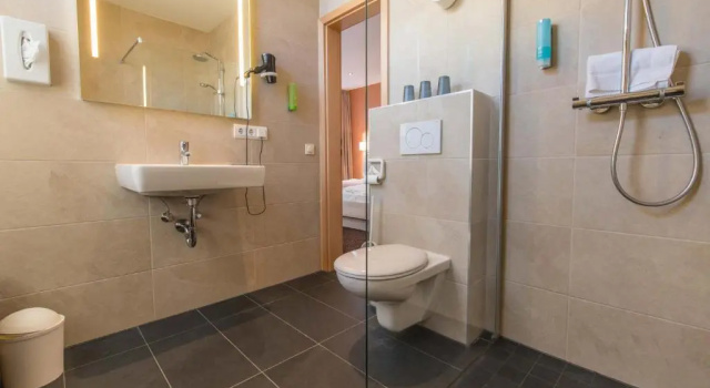 Двухместный номер Standard Hotel Bacchus