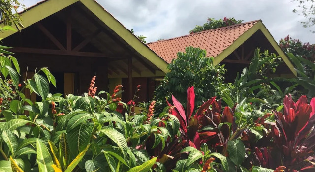 Двухместный номер Standard Selvita Lodge Arenal