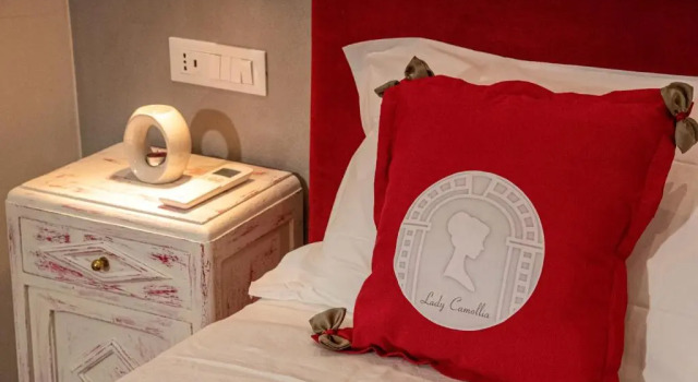 Апартаменты Lady Camollia Apartment