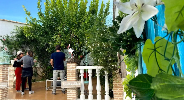Коттедж El Patio del Limonero