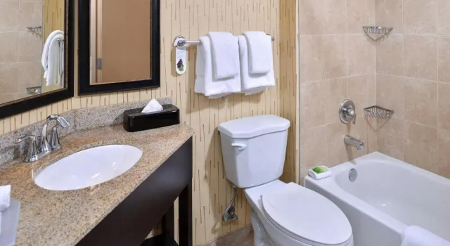Номер Deluxe Holiday Inn Express Hunt Valley by IHG