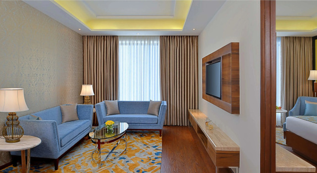 Двухместный люкс c 1 комнатой с видом на город Radisson Gwalior