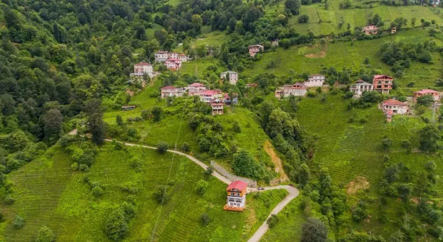 MCTSUİT