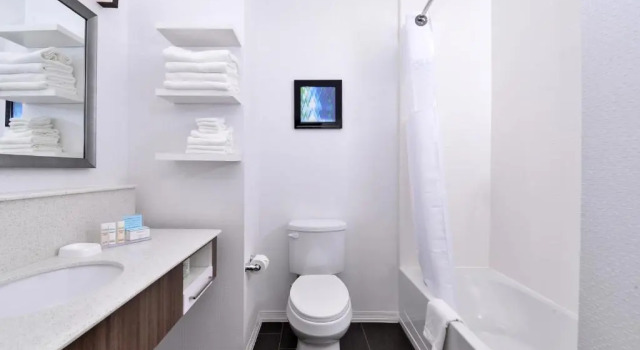 Четырёхместный номер Standard Hampton Inn Broussard-Lafayette