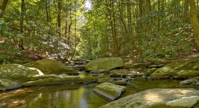 Thunder Falls, Reserva ahora Hotel Ellijay 