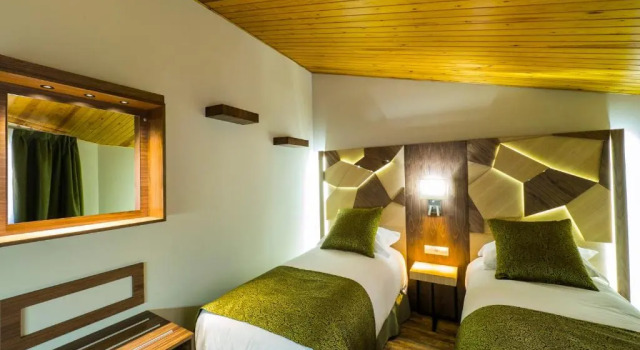 Одноместный номер Standard Hotel Princesa Parc