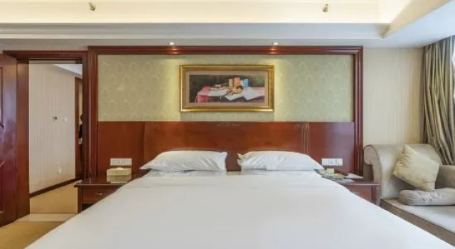 Люкс Business Vienna Hotel Xinyu Fenyi South Changshan Road Branch