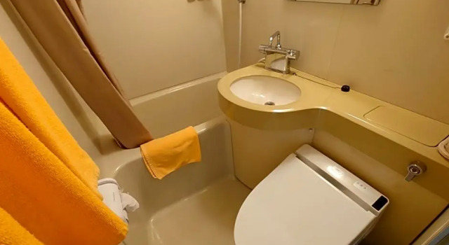 Двухместный номер Standard с видом на горы Plaza Inn Kawaguchiko