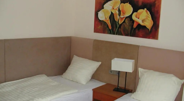 Номер Standard Motel Monteur